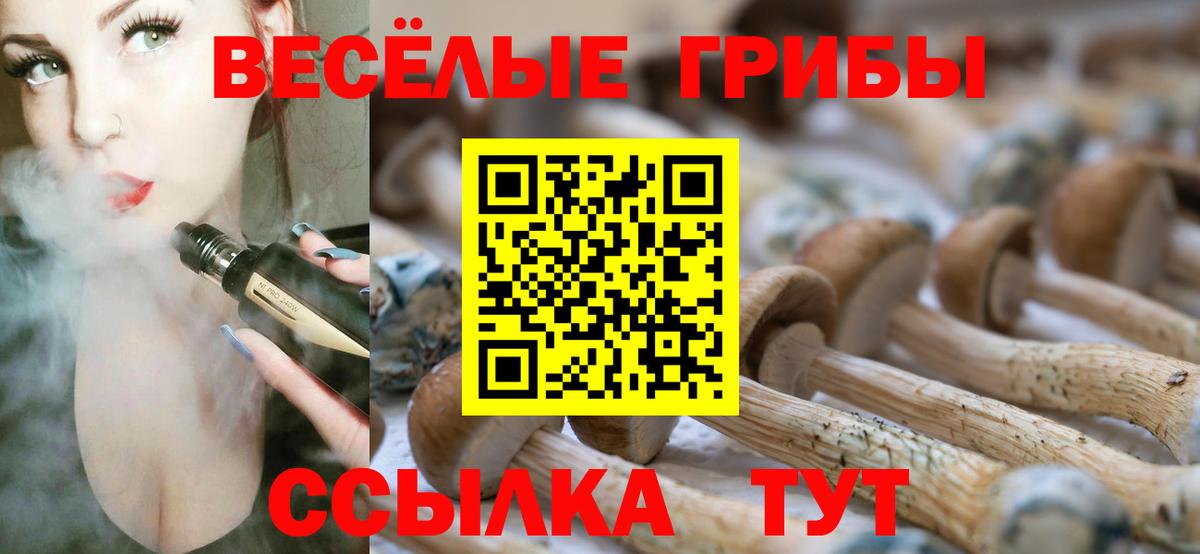 где купить наркоту  Вход с VPN  Ессентуки  Галлюциногенные грибы ЛСД 