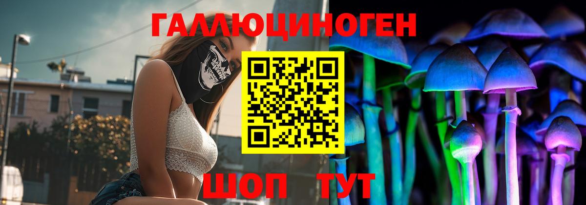 Галлюциногенные грибы мицелий Ессентуки
